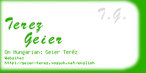 terez geier business card